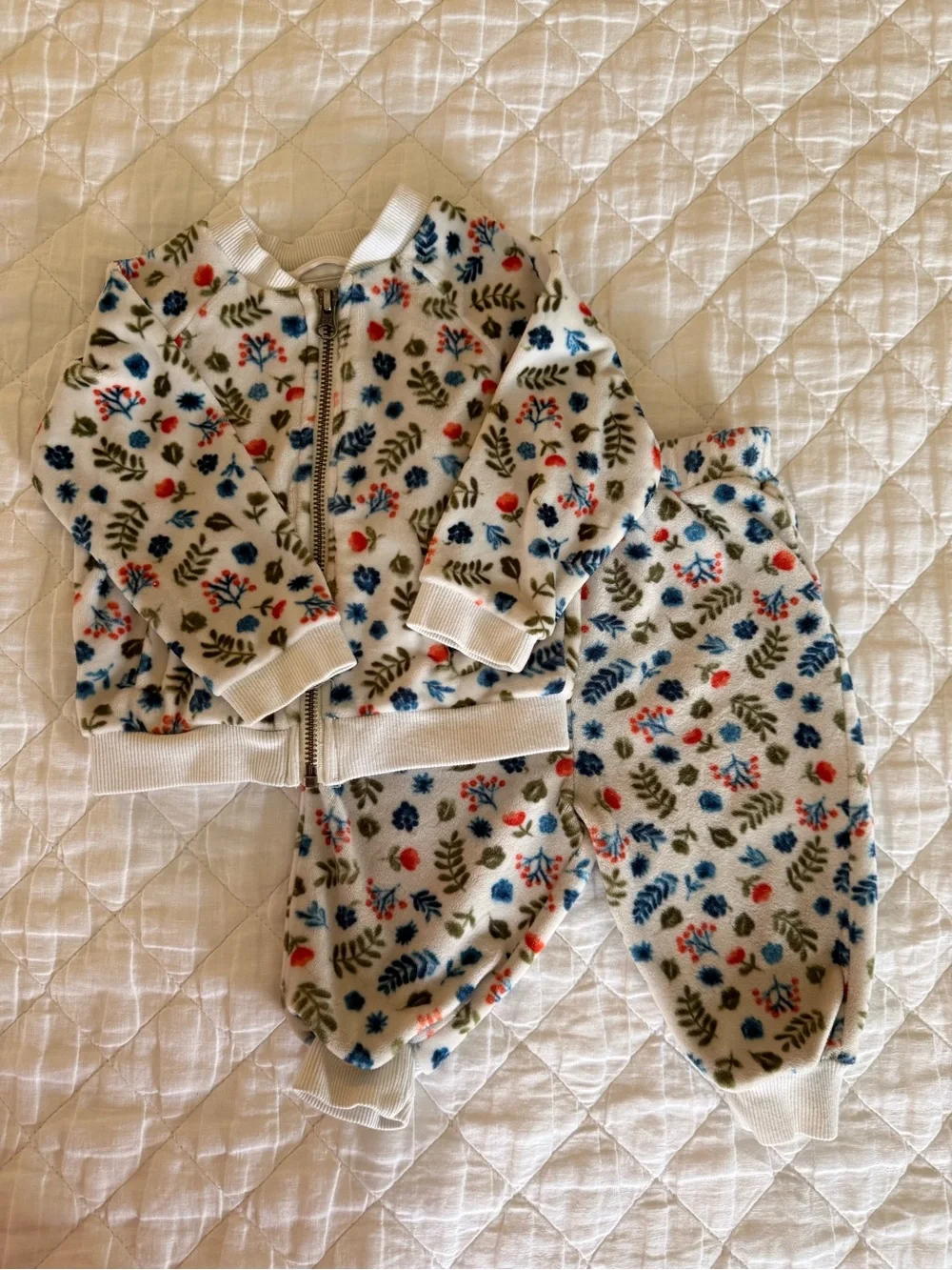 Gymboree Baby Floral Zip-Up Velour Sweatsuit